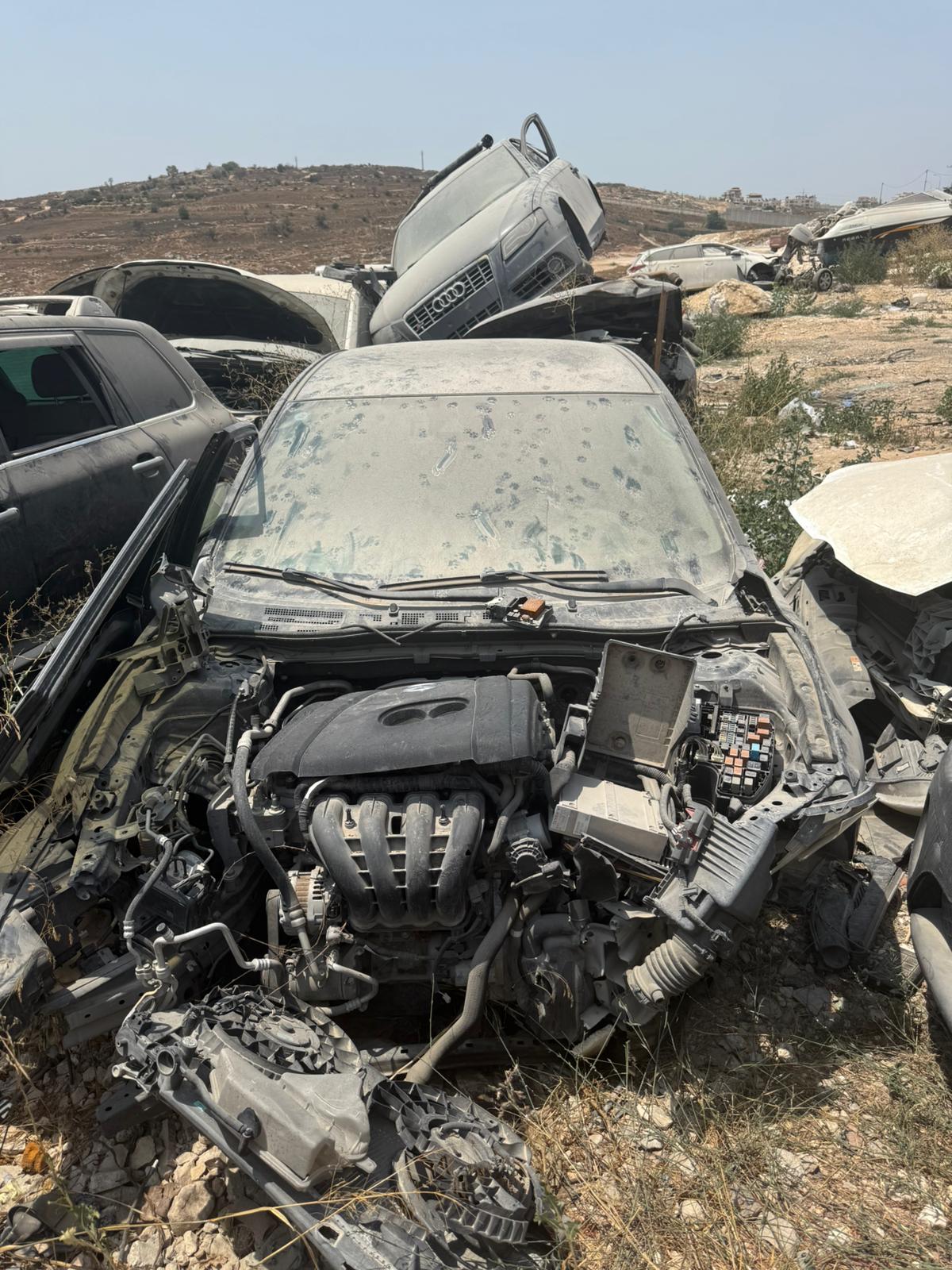 גלריה – תמונה 1