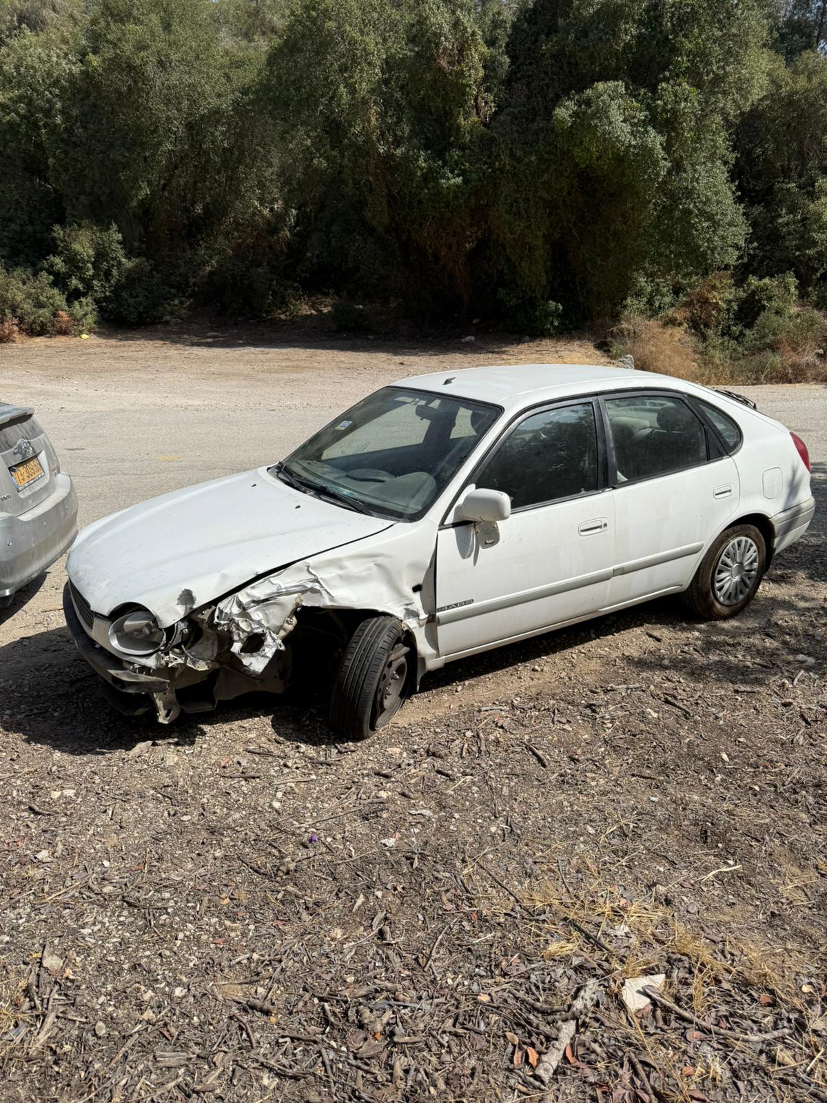 גלריה – תמונה 5