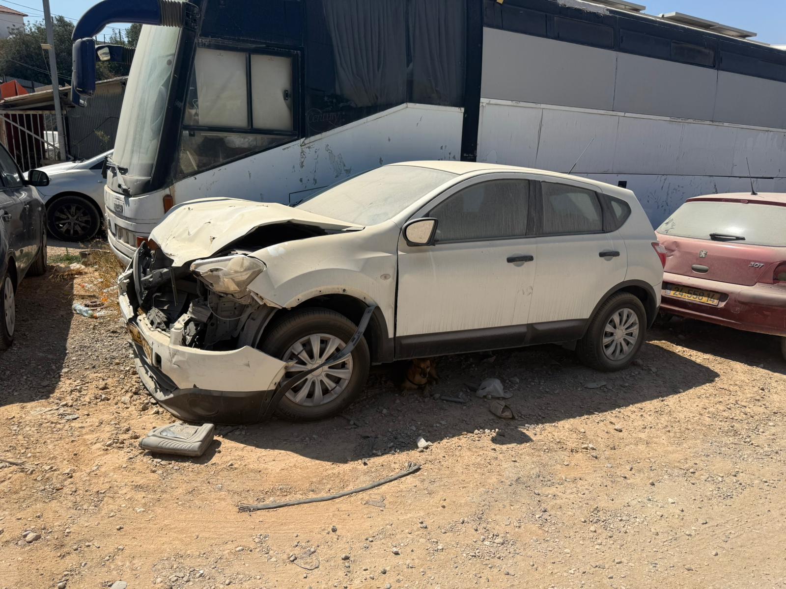 גלריה – תמונה 7