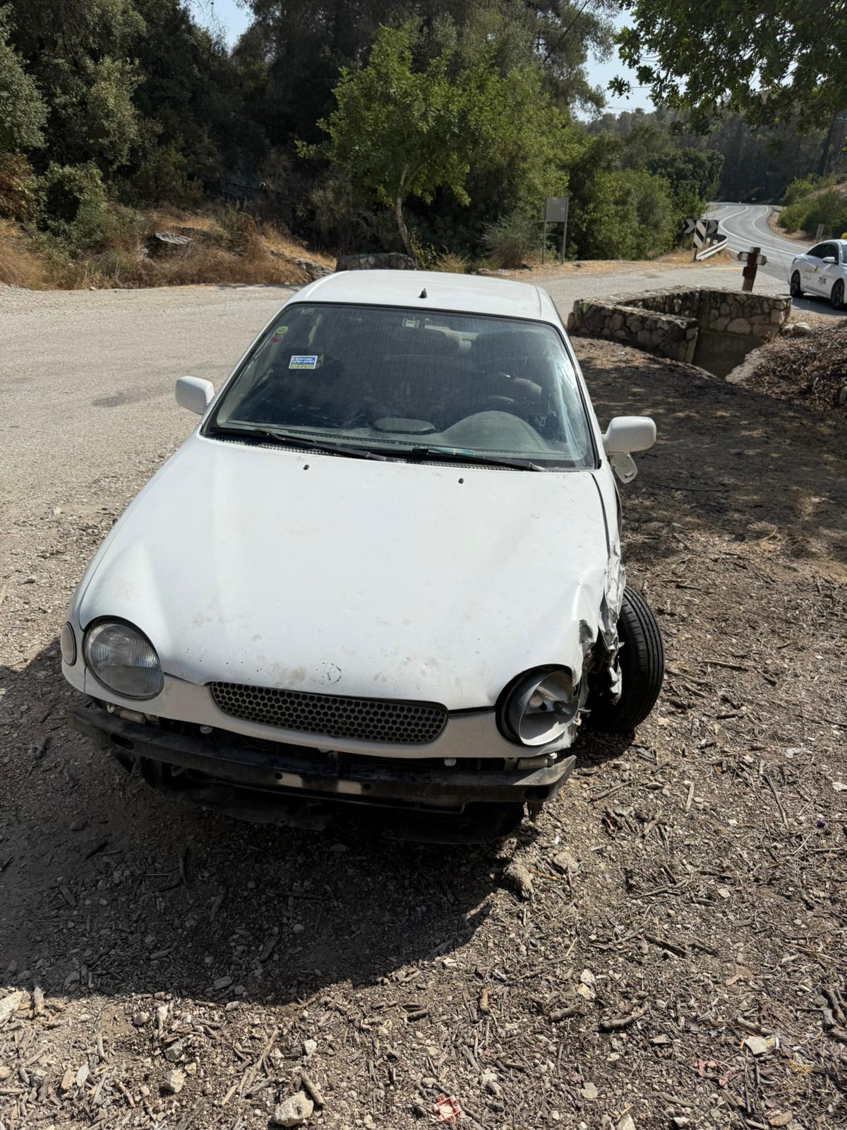 גלריה – תמונה 8