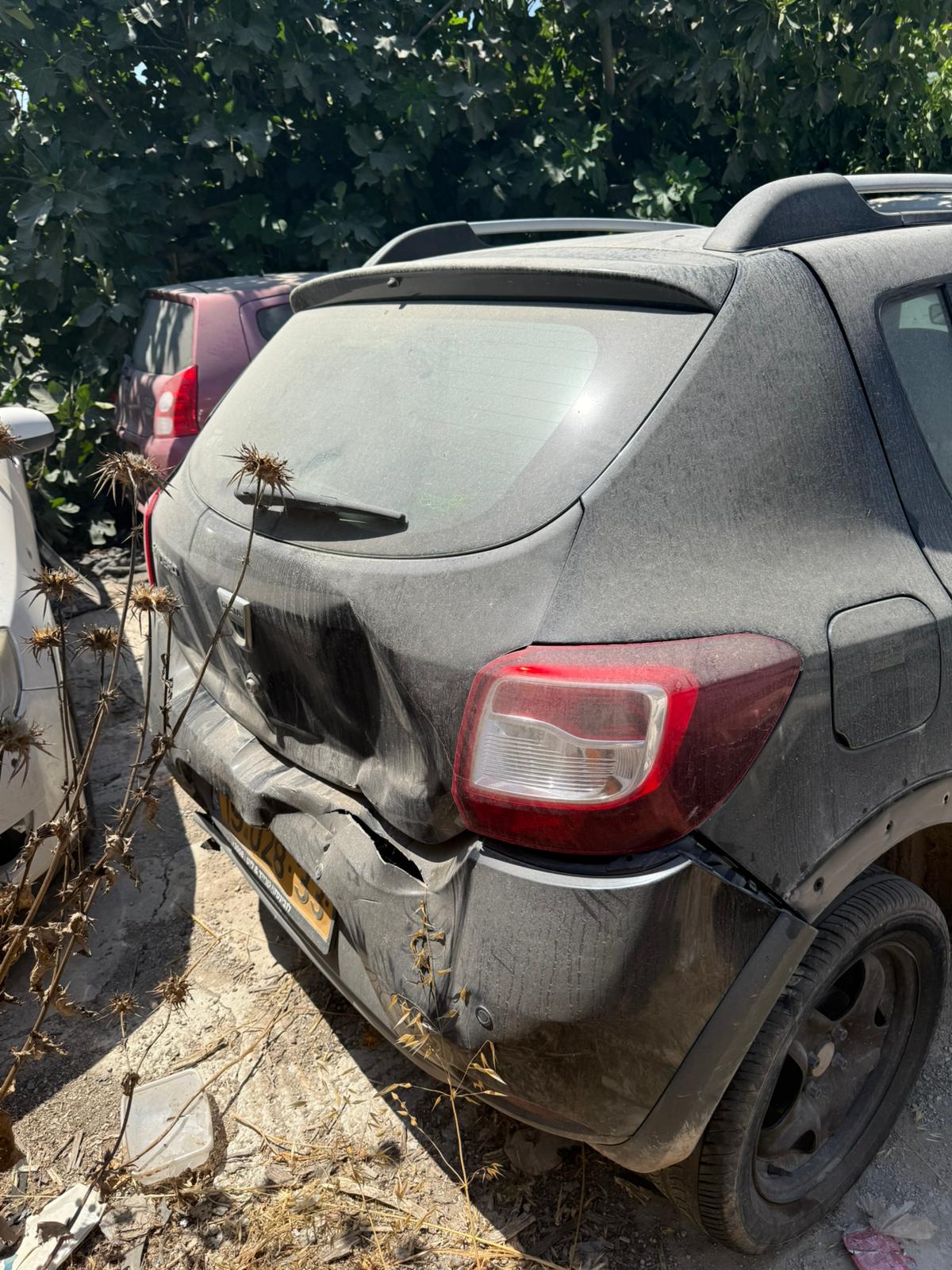 גלריה – תמונה 9