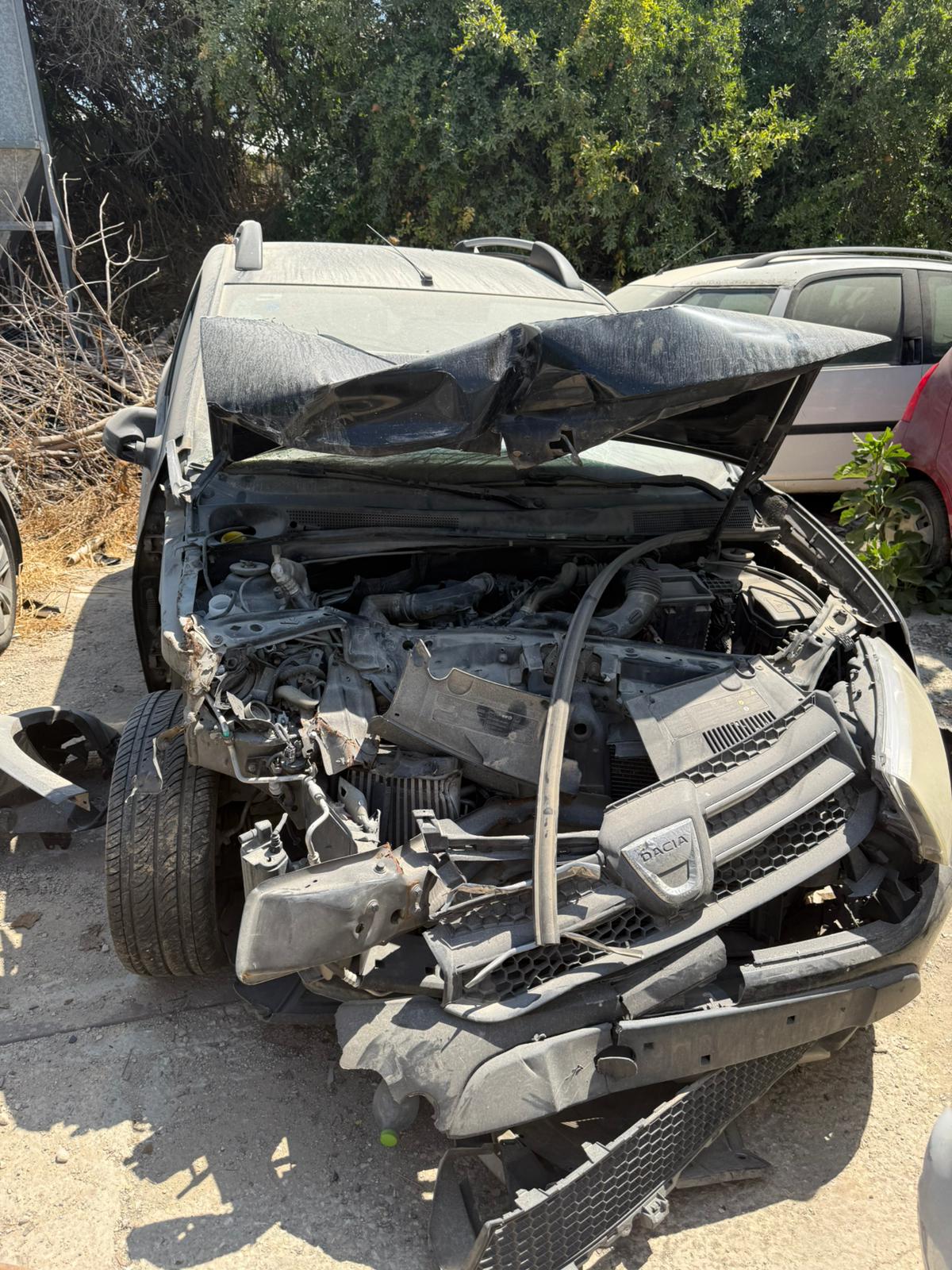 גלריה – תמונה 10